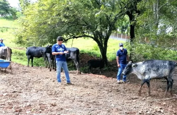 finca_comerciales_barria_03