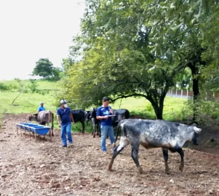 finca_comerciales_barria_04