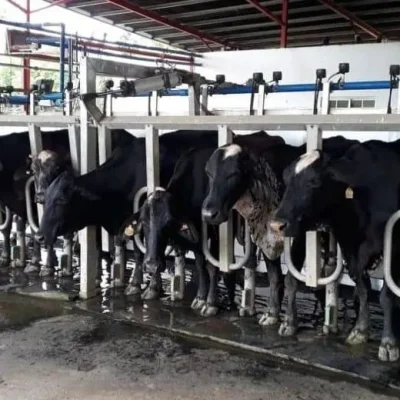 finca_la_trinidad_02