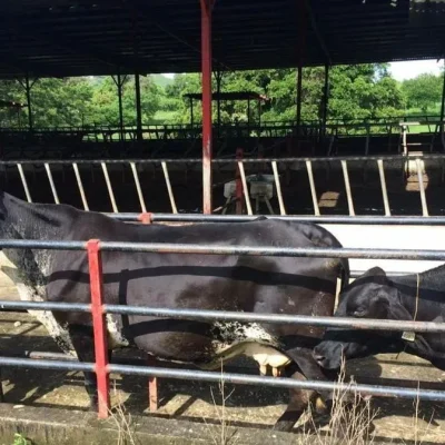 finca_la_trinidad_03