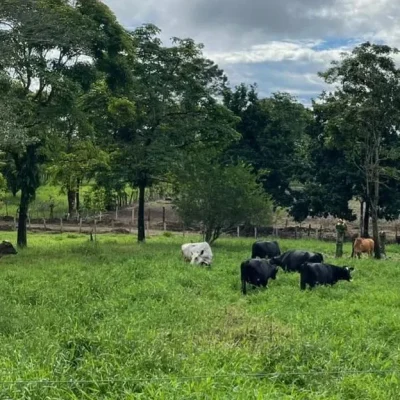 finca_santa_librada_03