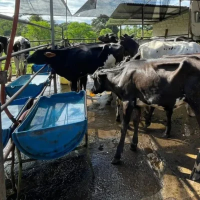 finca_santa_librada_06