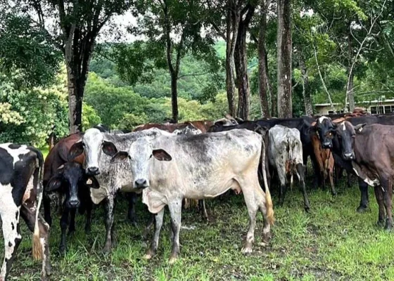 hacienda_la_barrera_03