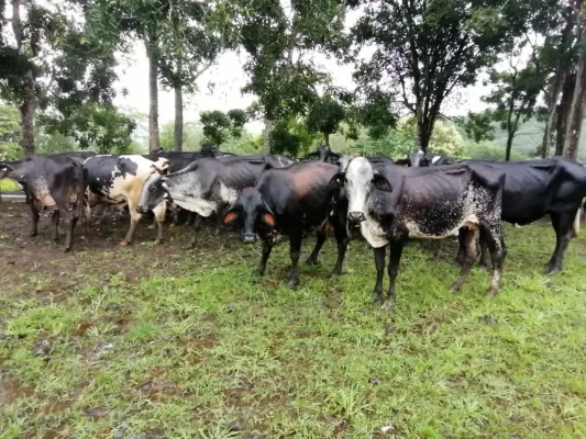 hacienda_la_barrera_04